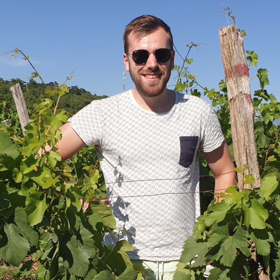 Een foto van Daan Gort in de wijngaarden in Kroatië